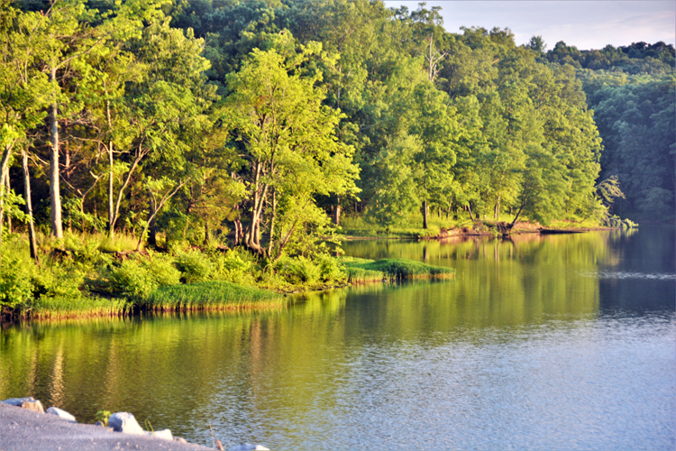 energy lake and dam